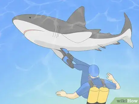 Image intitulée Get over Your Fear of Sharks Step 9