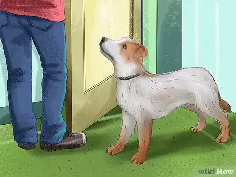 Image intitulée Teach a Dog to Tell You when He Wants to Go Outside Step 9