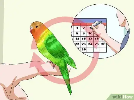 Image intitulée Tame Your Budgies Step 16