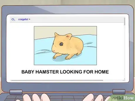 Image intitulée Care for Hamster Babies Step 8