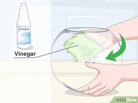 Image intitulée Clean a Fish Bowl Step 10