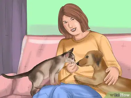 Image intitulée Make a Cat and Dog Get Along Step 1