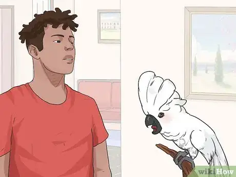 Image intitulée Teach Your Bird to Talk Step 1