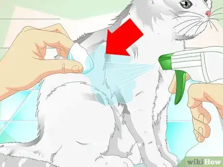 Image intitulée Clean a Cat's Fur Step 13