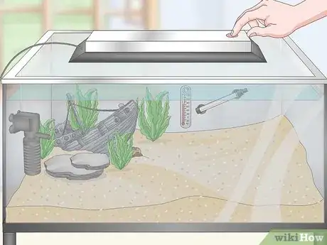 Image intitulée Set up a Tropical Freshwater Aquarium Step 16