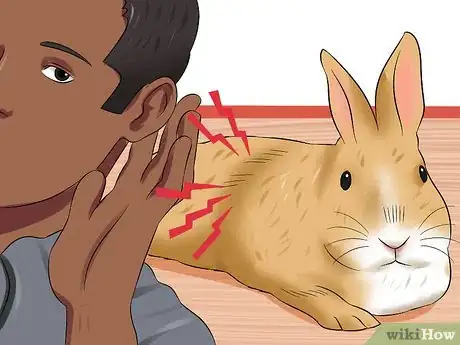 Image intitulée Treat Digestive Problems in Rabbits Step 5