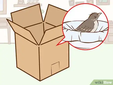 Image intitulée Help a Baby Bird That Has Fallen Out of a Nest Step 9