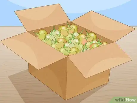 Image intitulée Ripen Green Tomatoes Step 7