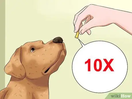 Image intitulée Teach Your Dog to Speak Step 8