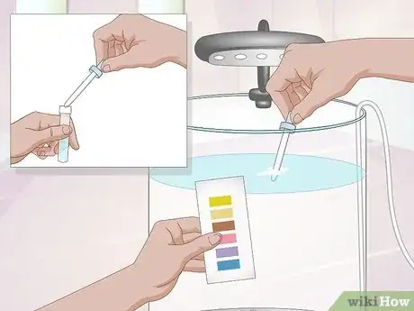 Image intitulée Start a Jellyfish Tank Step 10
