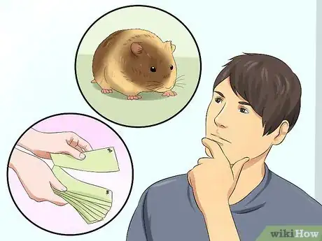 Image intitulée Euthanize a Sick Hamster Step 13