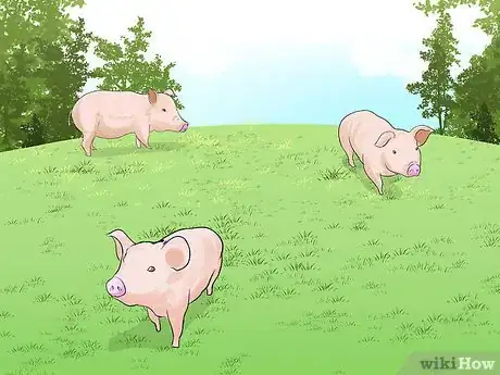 Image intitulée Care for a Pet Pig Step 8