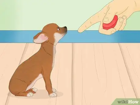 Image intitulée Communicate with Animals Step 10