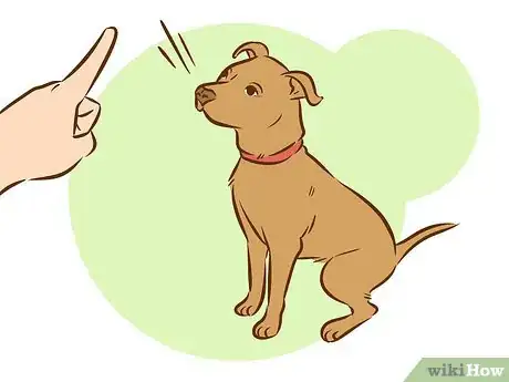Image intitulée Train a Pitbull Puppy Step 16