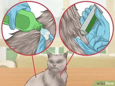 Image intitulée Remove a Tick from a Cat Step 11