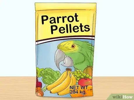 Image intitulée Feed Parrots Step 1