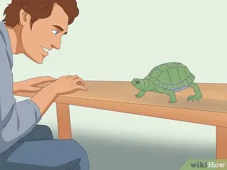Image intitulée Pet a Turtle Step 1