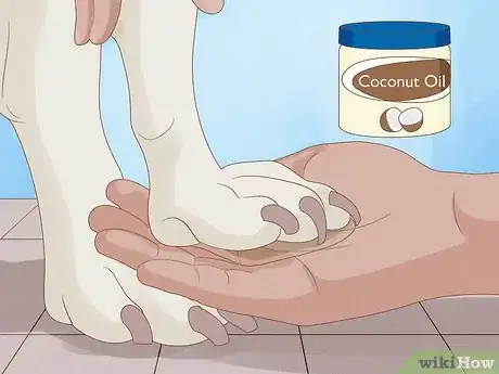 Image intitulée Stop a Dog from Licking Its Paws with Home Remedies Step 5