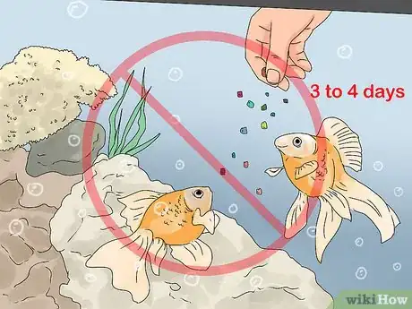 Image intitulée Tell if Your Fish Is Dead Step 10