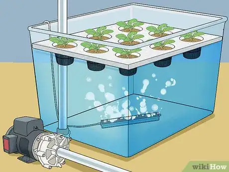 Image intitulée Build a Homemade Hydroponics System Step 10