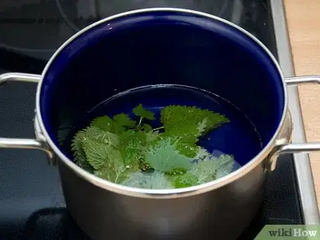 Image intitulée Make Nettle Tea Step 8