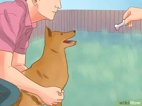 Image intitulée Stop Aggressive Behavior in Dogs Step 6