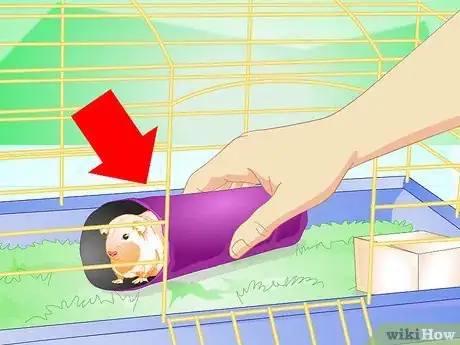Image intitulée Make Your Guinea Pig Comfortable in Its Cage Step 14