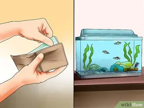 Image intitulée Plan an Aquarium Step 2