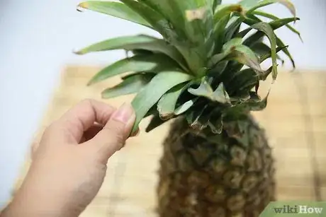 Image intitulée Tell if a Pineapple Is Ripe Step 10