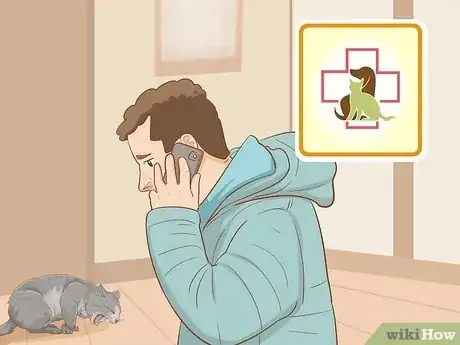 Image intitulée Save a Choking Cat Step 6