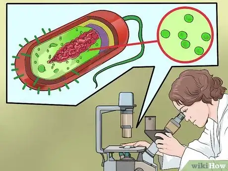 Image intitulée Know the Difference Between Bacteria and Viruses Step 9