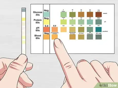 Image intitulée Use a Urine Dipstick Test Step 8