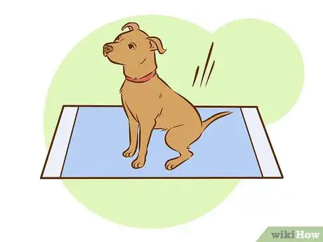 Image intitulée Train a Pitbull Puppy Step 19