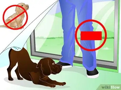 Image intitulée Stop Dog Marking Behaviors Step 11