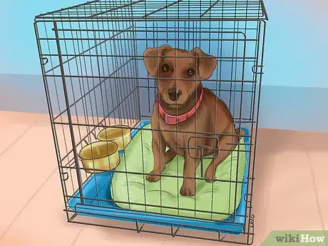 Image intitulée Crate Train Your Dog or Puppy Step 17