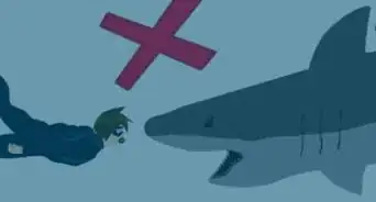 prévenir une attaque de requin