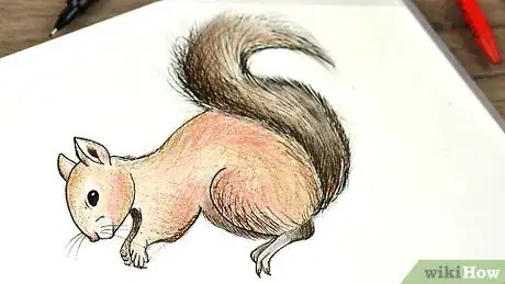Image intitulée Draw a Squirrel Step 24