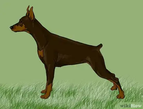 Image intitulée Draw a Realistic Dog Intro