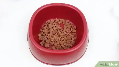 Image intitulée Make a Dog's Dry Food Tastier So He Will Eat It All Step 1
