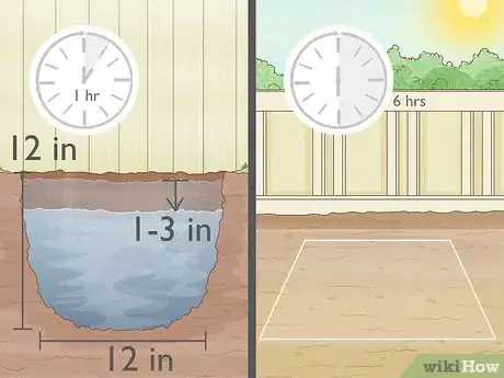 Image intitulée Grow Pear Trees from Seed Step 15