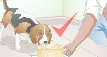 fabriquer des friandises pour chiens