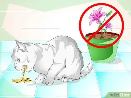Image intitulée Clean a Cat's Fur Step 9
