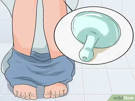 Image intitulée Diagnose and Treat a Prolapsed Bladder Step 18