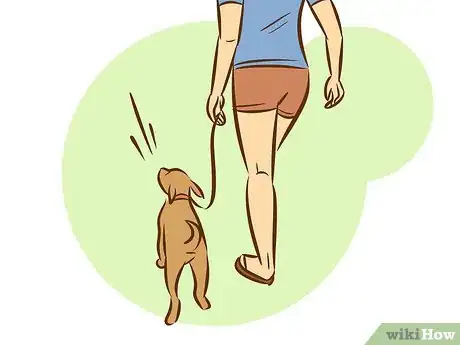 Image intitulée Train a Pitbull Puppy Step 20
