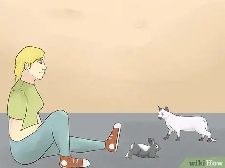 Image intitulée Keep a Rabbit and a Cat Step 7