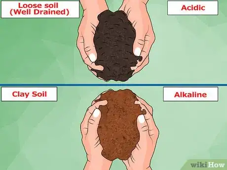 Image intitulée Acidify Soil Step 5