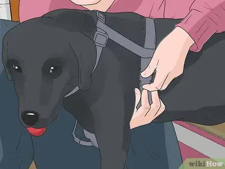 Image intitulée Pick up a Dog Properly Step 7