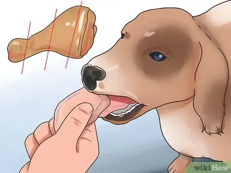 Image intitulée Treat Dog Diarrhea Step 5