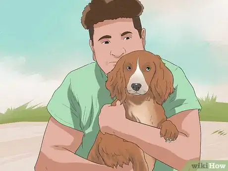 Image intitulée Train Your Dog to Not Run Away Step 21