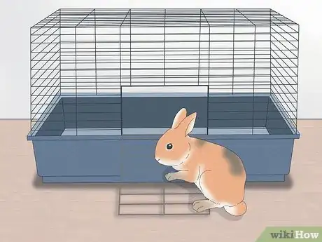 Image intitulée Pet a Rabbit Step 10